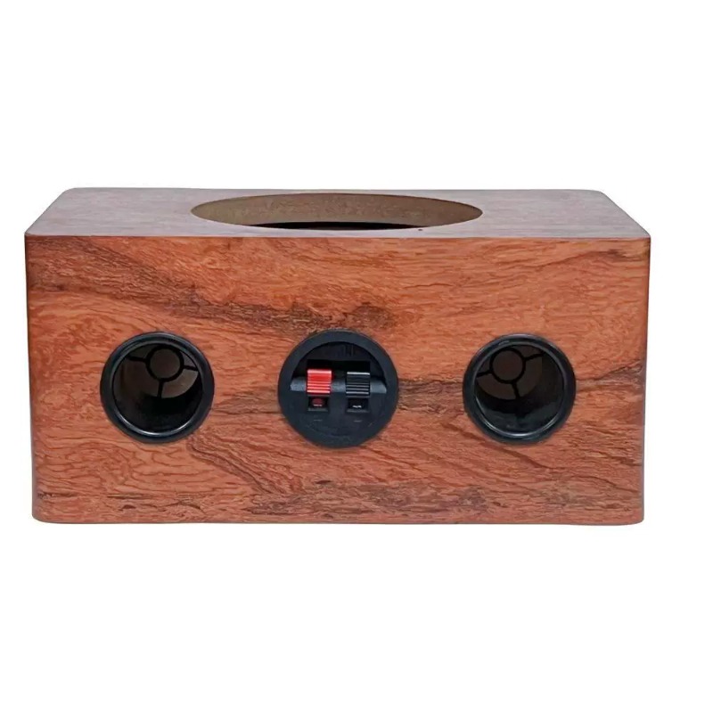 Musical Instrument Family - Grande Alto-falante de Teto Ultra-fino de